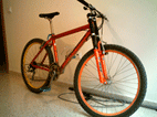 20060419185728-bici-domi.gif
