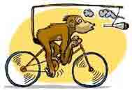 20061017214326-monoenbicicleta.jpg